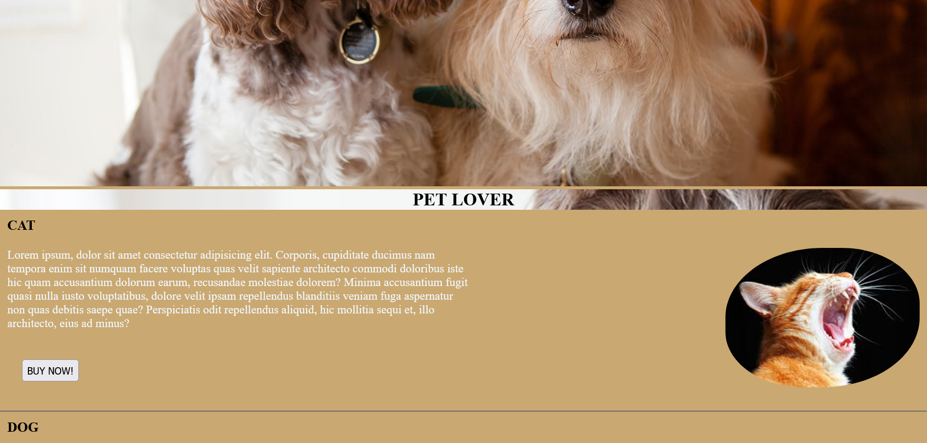 pet shop websites image